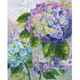 Hydrangea Garden