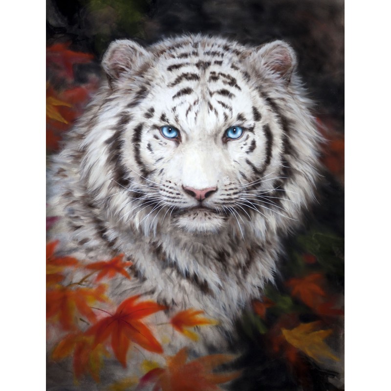 Paint by Numbers, Tiger -Beginner Level Kit | Arteza