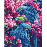 Blue Parrots