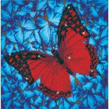 Flutterby Red