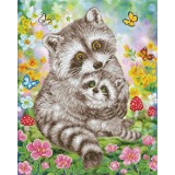 Sweet Racoons