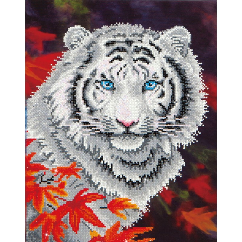 White Tiger in Autumn with Frame