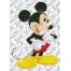 Disney Mickey