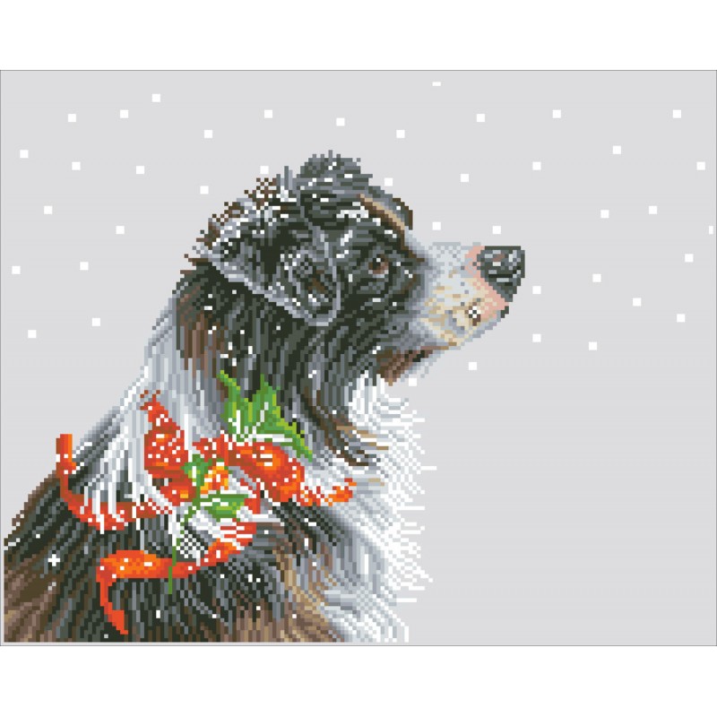 Christmas Collie