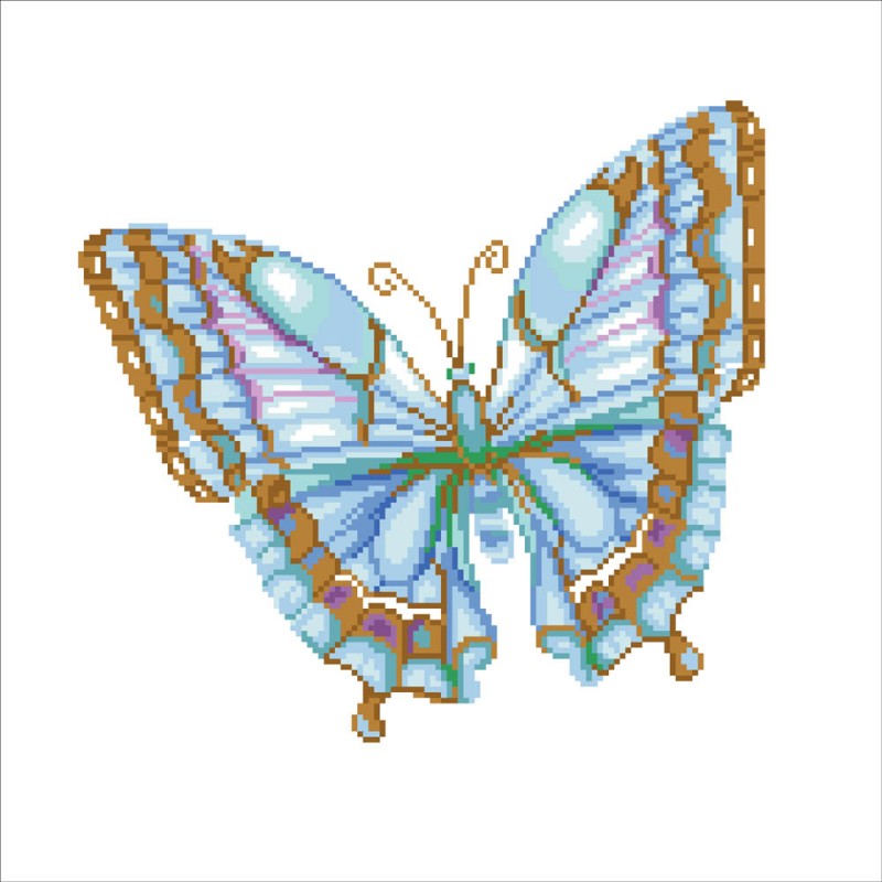 Papillon Bleu