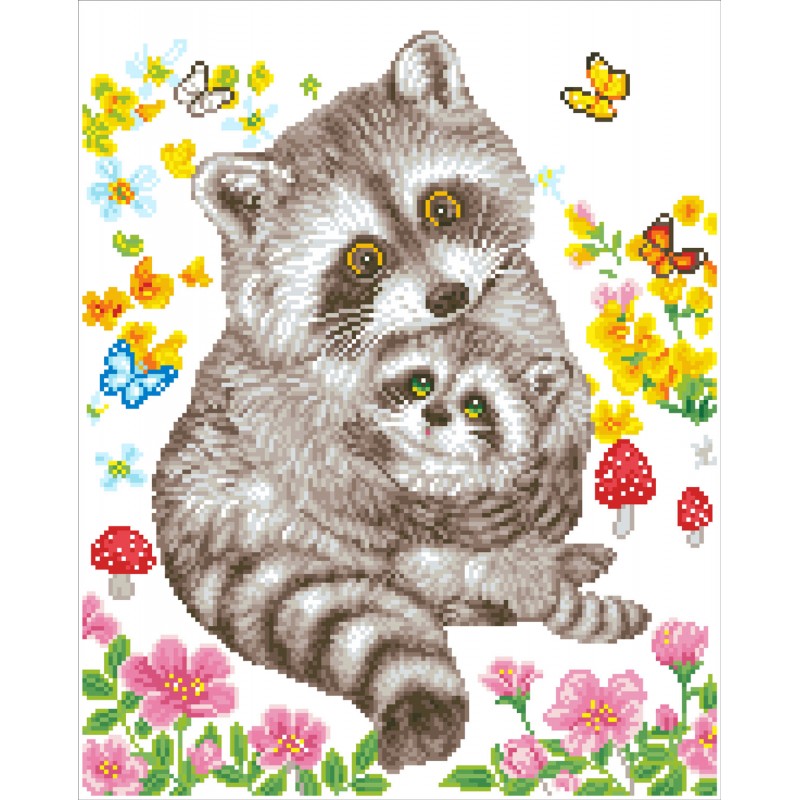 Sweet Racoons