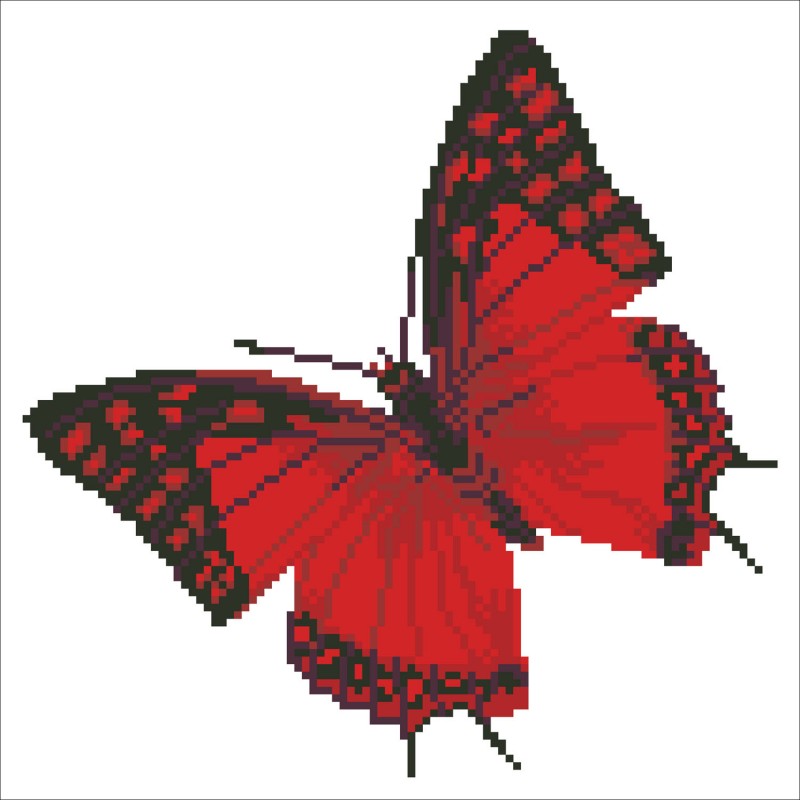 Flutter by Red with Frame