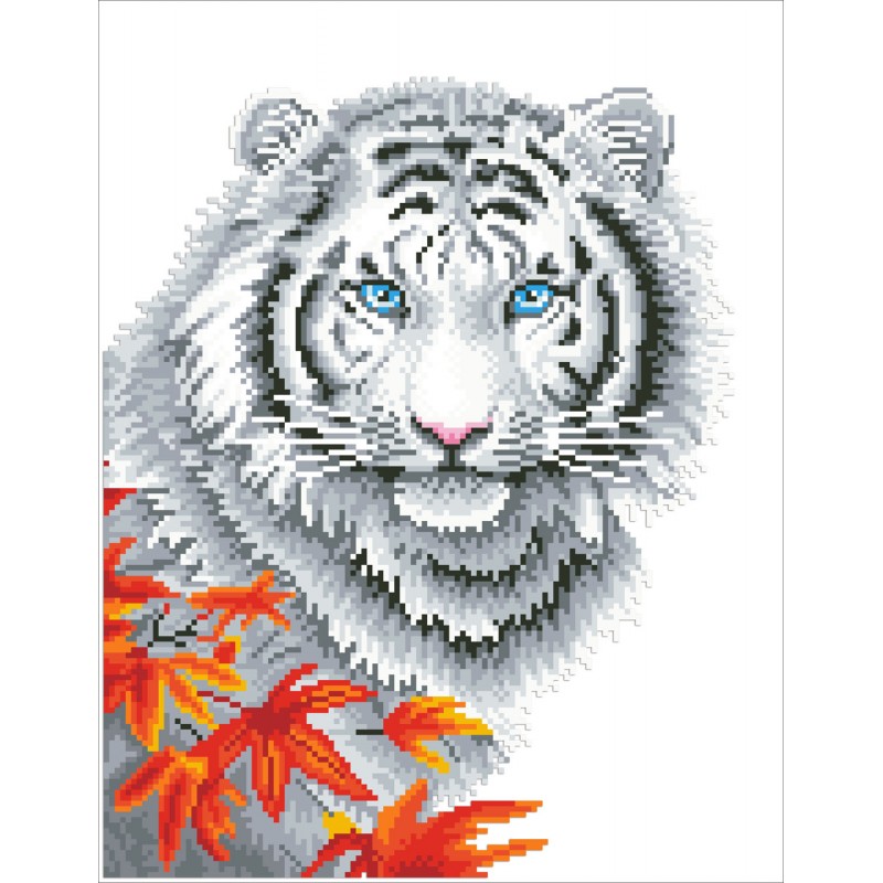 White Tiger in Autumn with Frame