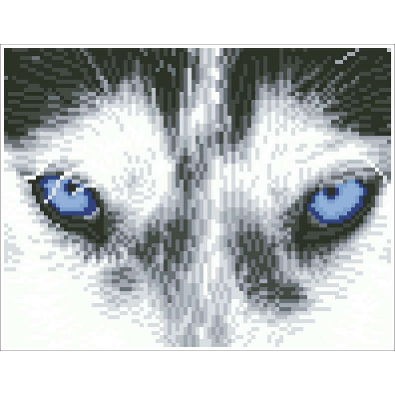 Mystic Husky - DQ7.004