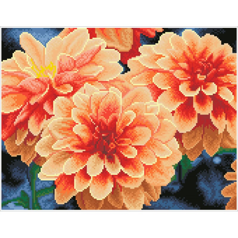 Peach Dahlias