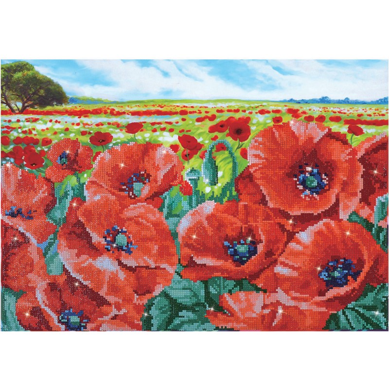 Red Poppy Field