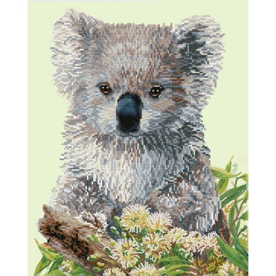 Koala & Eucalypus Blossom