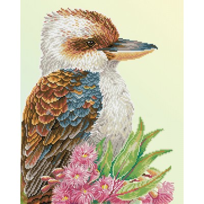 Kookaburra & Gum Blossom