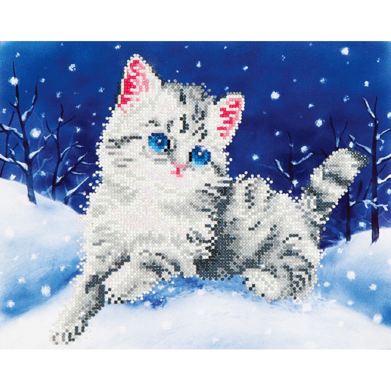 Kitten In The Snow