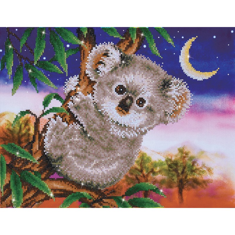 Koala Snack