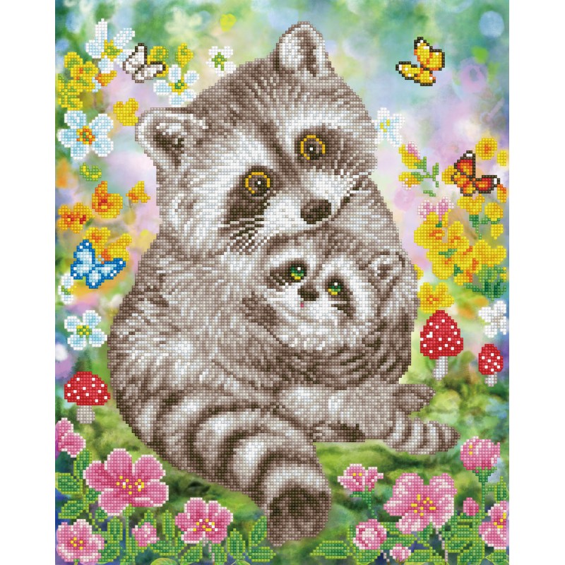 Sweet Racoons