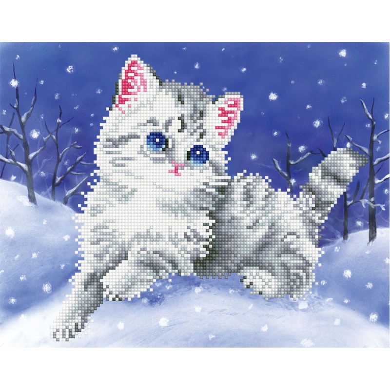 Kitten in the Snow with Frame