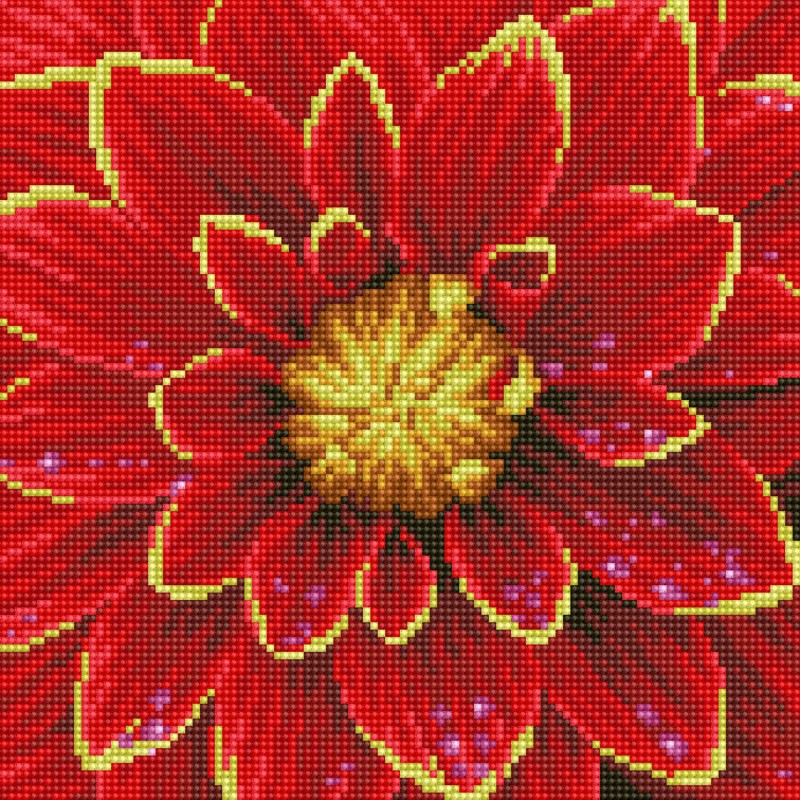 Dahlia with Frame