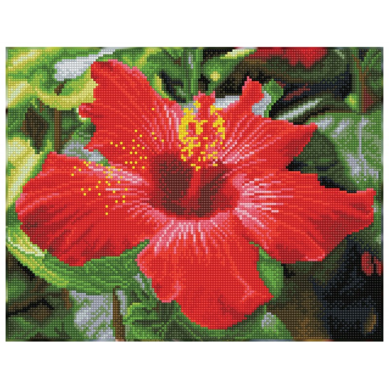 Hibiscus in bloom - Pre-Framed Kit