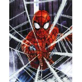 Web-Slinger Diamond Painting Kit