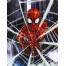 Web-Slinger Diamond Painting Kit