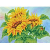 Wistful Sunflowers