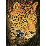 Leopard portrait